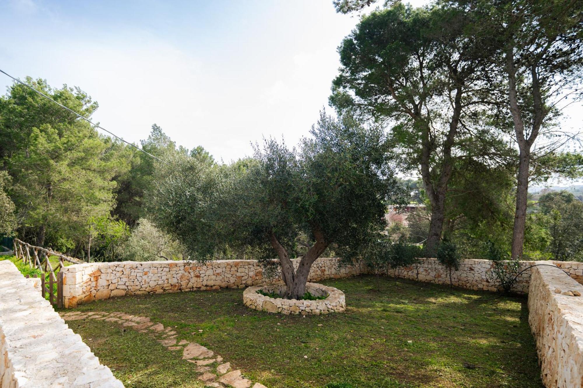 Trulli Magda Martina Franca Exterior foto